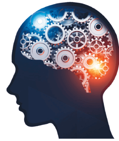 Cerveau
